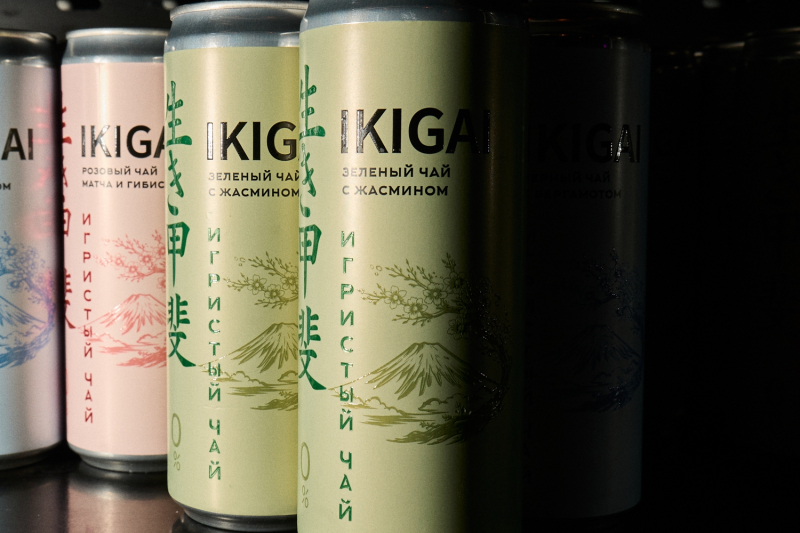 IKIGAI на дне рождения студии Лебедева ВИЛАШ - группа компаний
